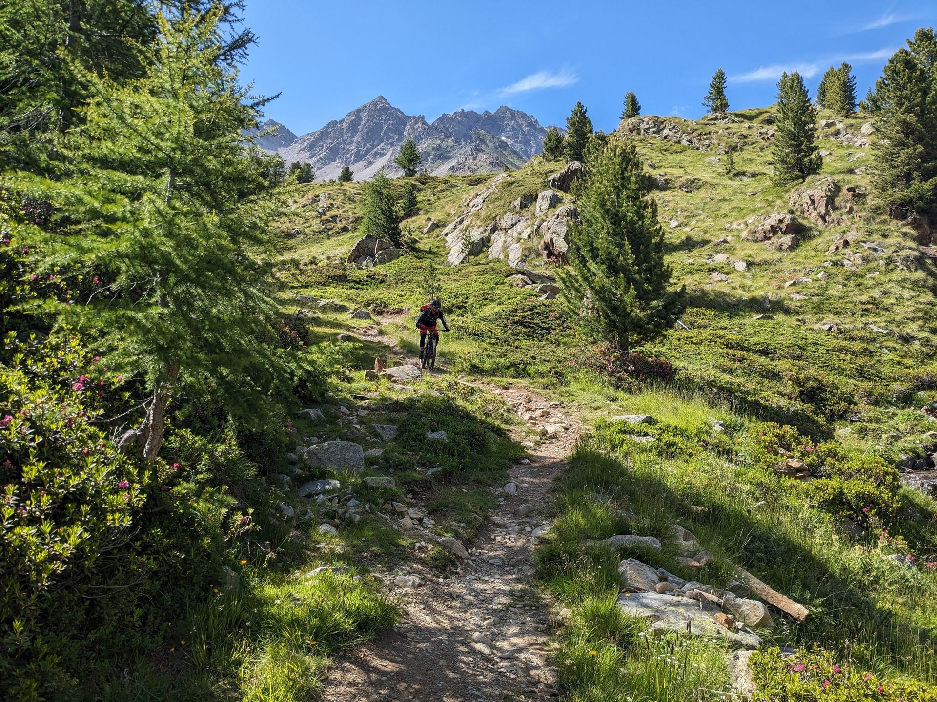 Rough and tough – spectacular gravel loops in the Alps | Cycling ...