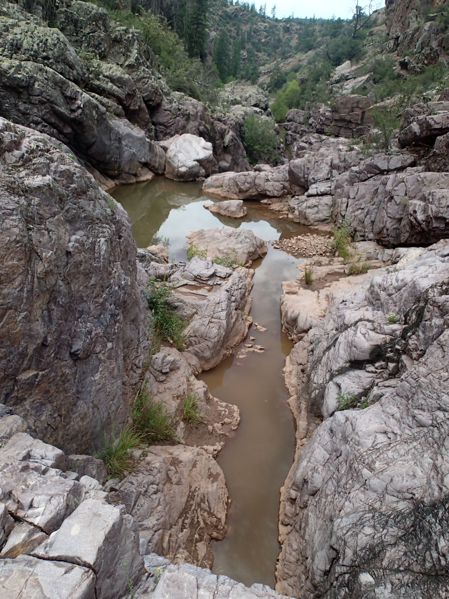Rocky canyon with a winding stream and green vegetation under diffused light. - Box Canyon Trail