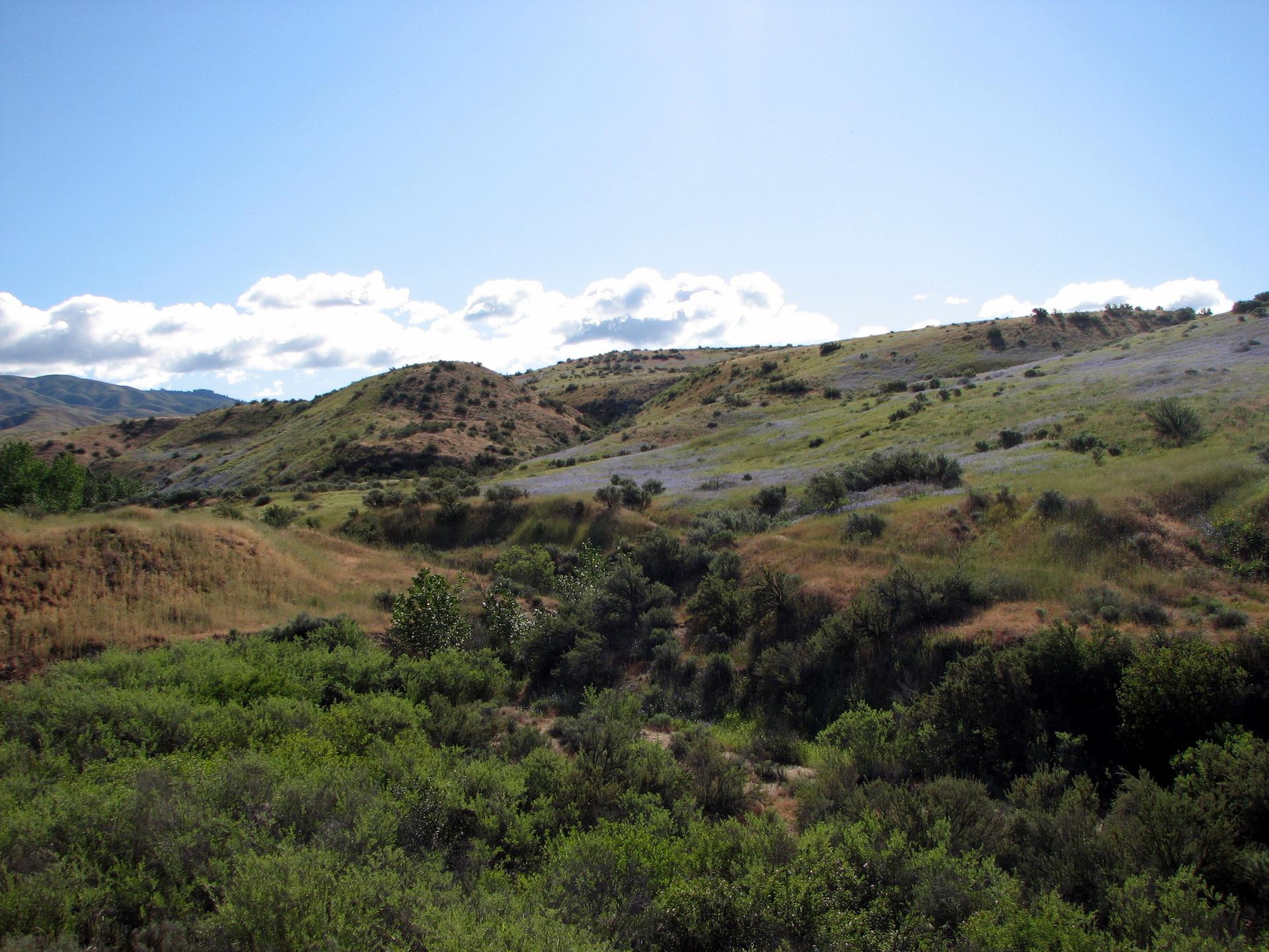Expansive view of rolling hills covered in green and brown vegetation under a blue sky.