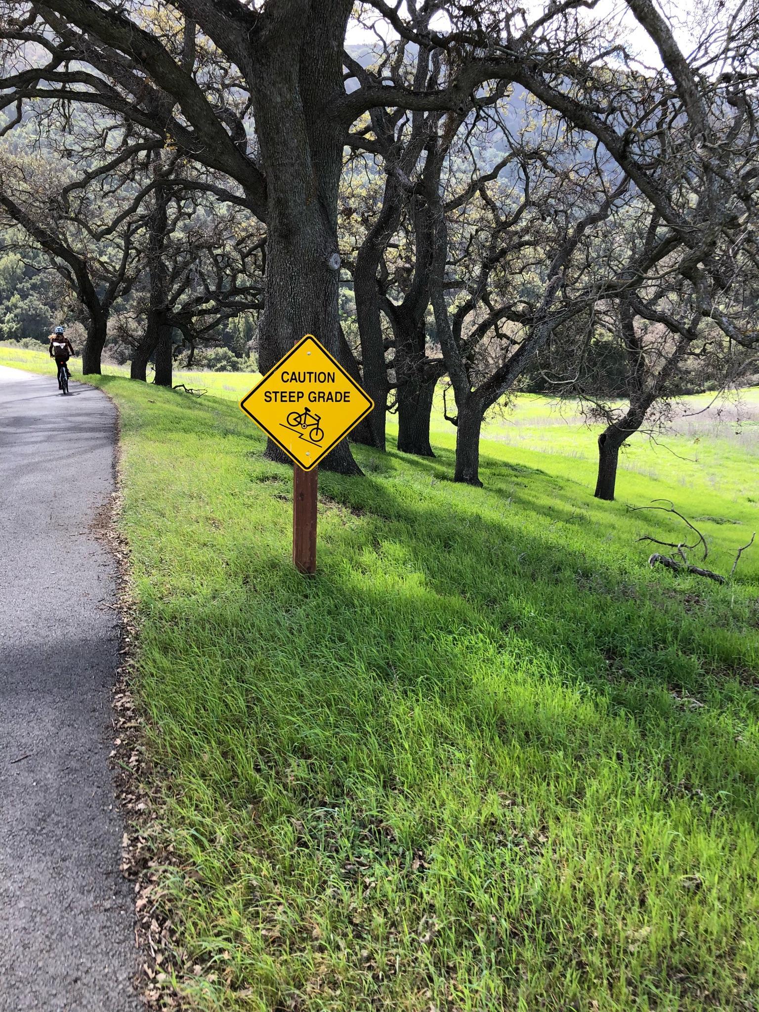 A cyclist approaches a steep grade sign on a sunny, tree-lined path.