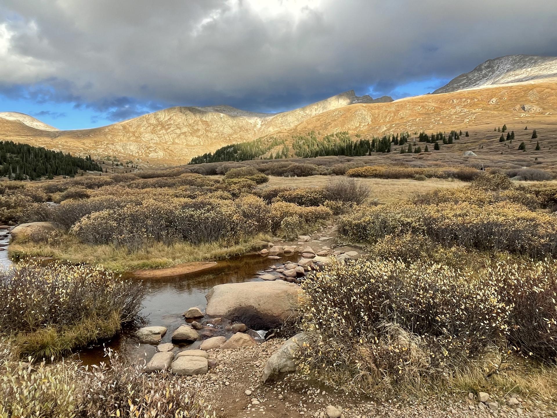 A stream winding through a marshy landscape with sunlit mountains.