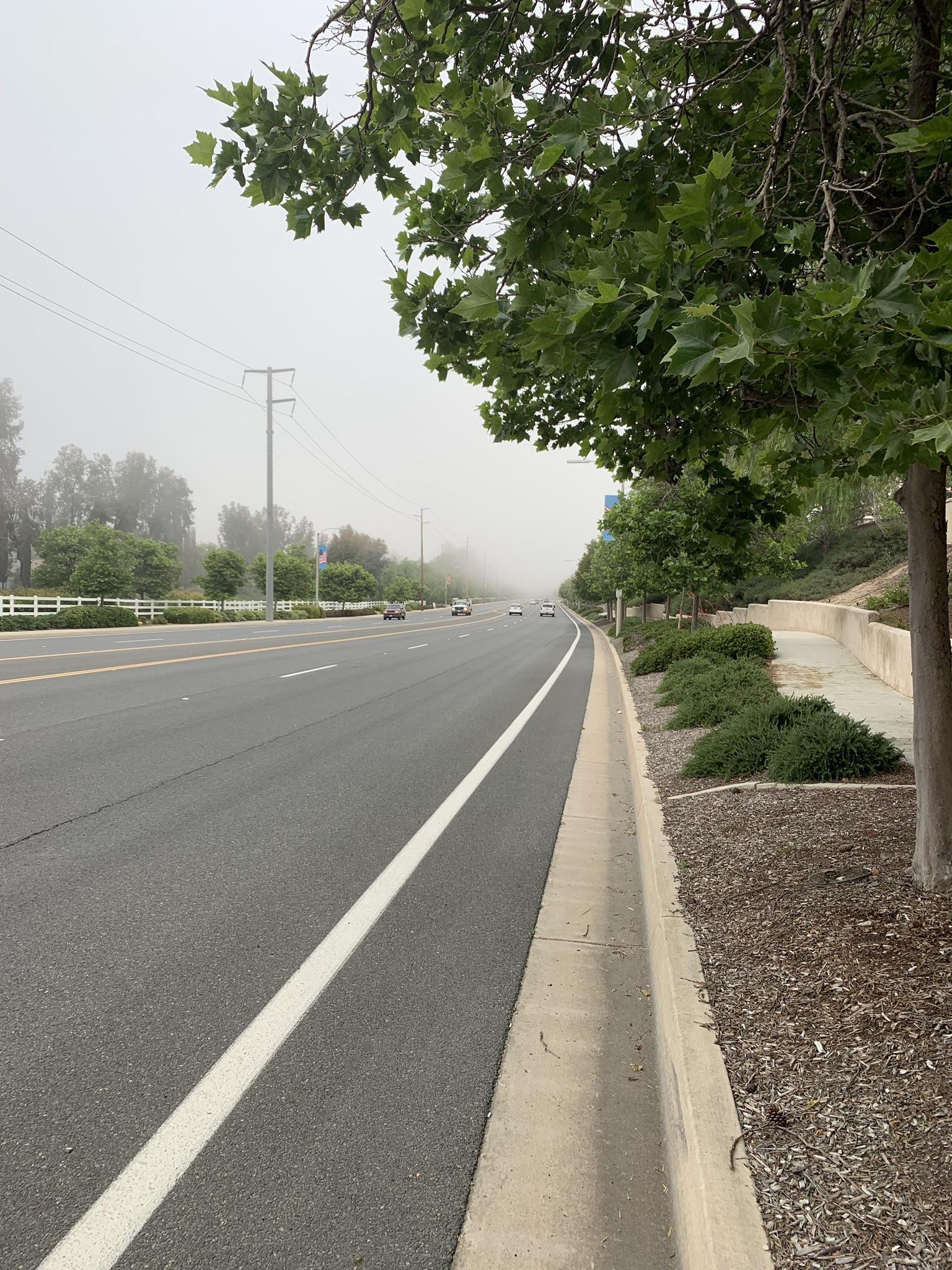 A hazy road with distant cars, lined by green trees and a sidewalk.