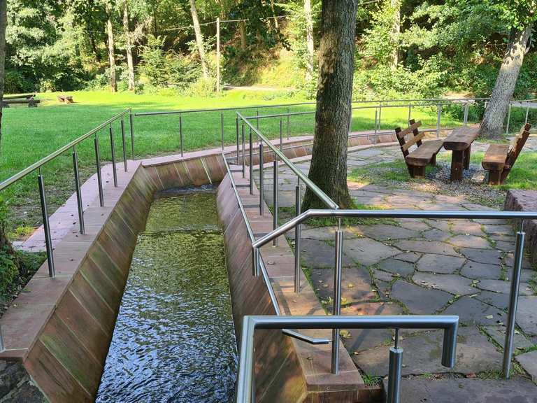 Grillplatz Eichenbühl Kohlgrund MountainbikeTouren und Trails komoot