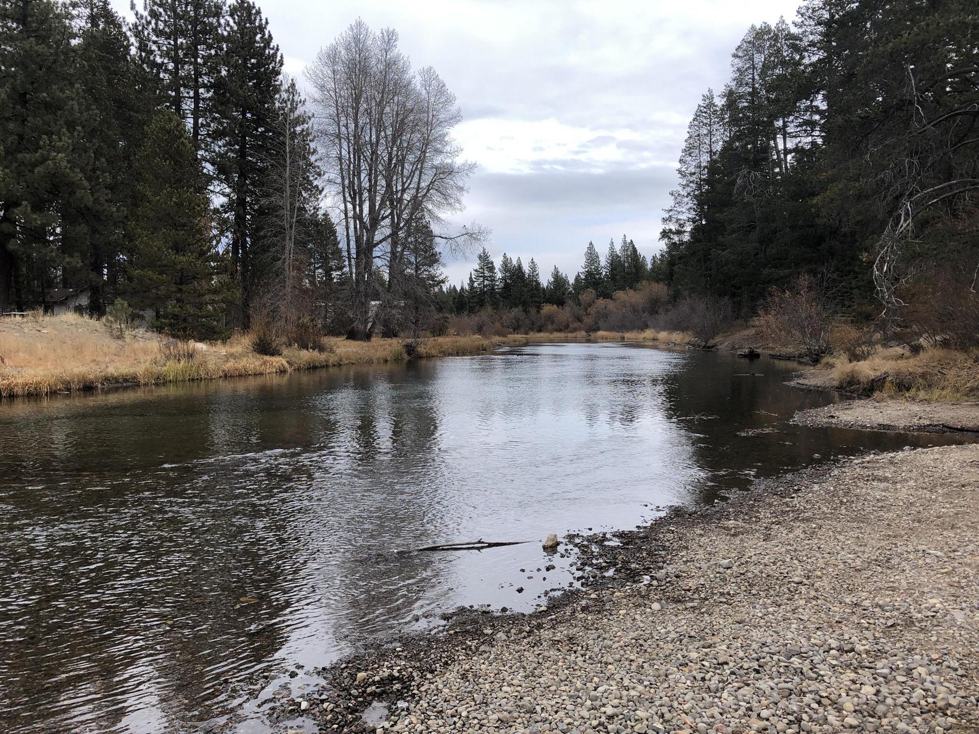 Calm river flowing through a forested landscape under an overcast sky.