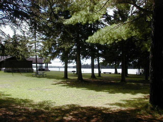 Shady picnic area with tall trees overlooking a calm body of water.