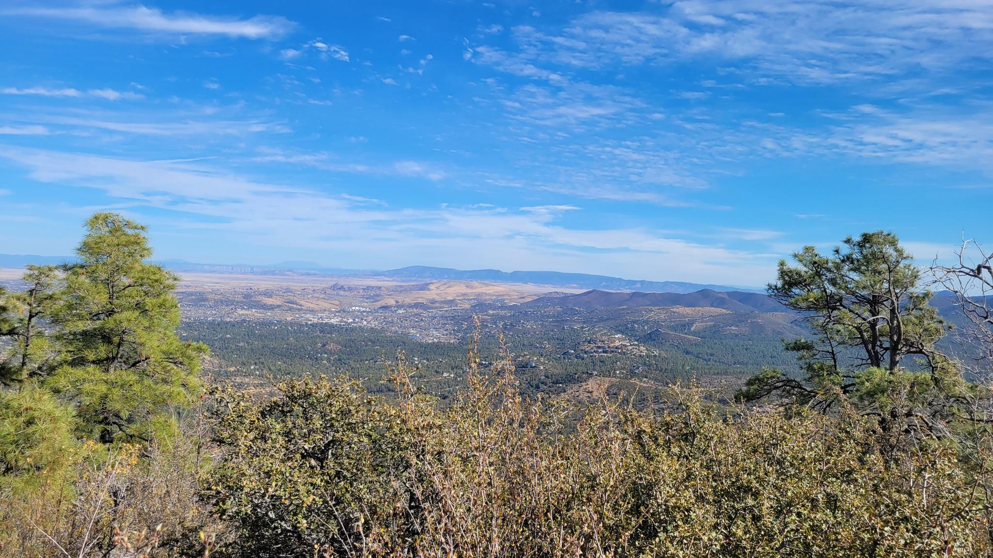 Panoramic view of a vast valley and distant mountains, framed by trees.