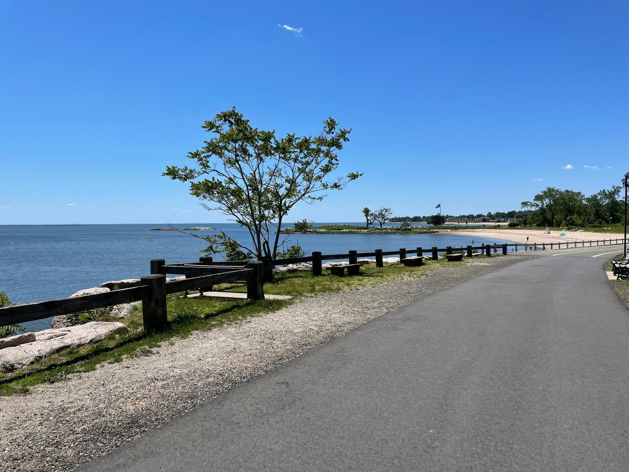A paved path next to a wooden fence, a small tree, and calm ocean water.