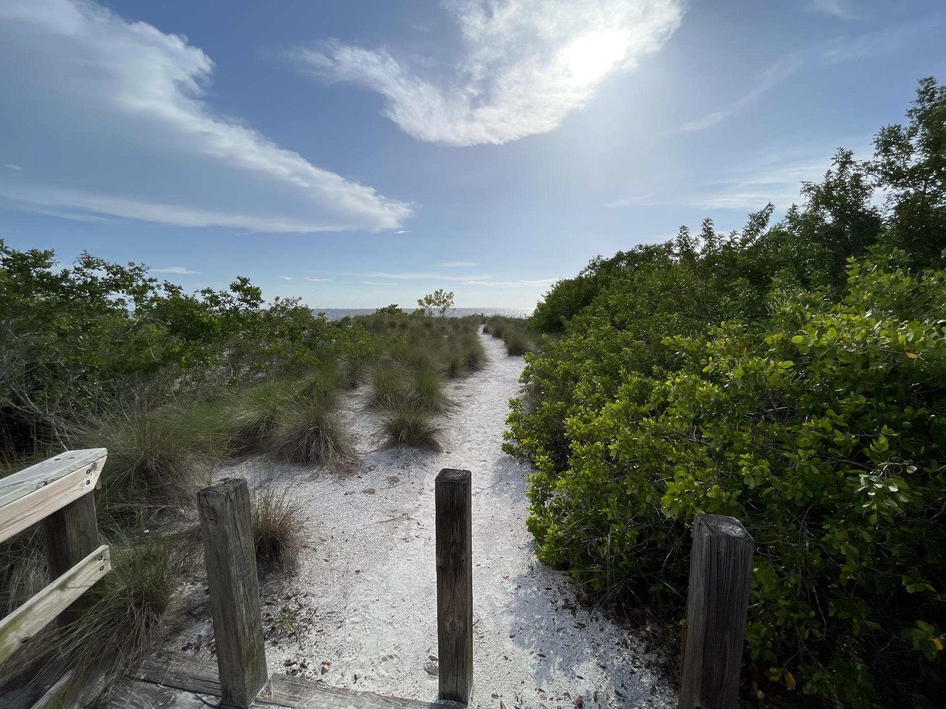 A sandy path leads through dense green coastal vegetation under a bright sky.