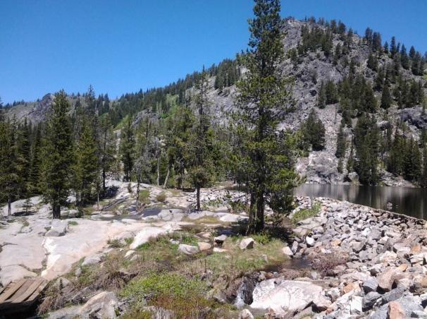 Sunny view of a rocky shore, pine trees, a stream, and a mountain lake.
