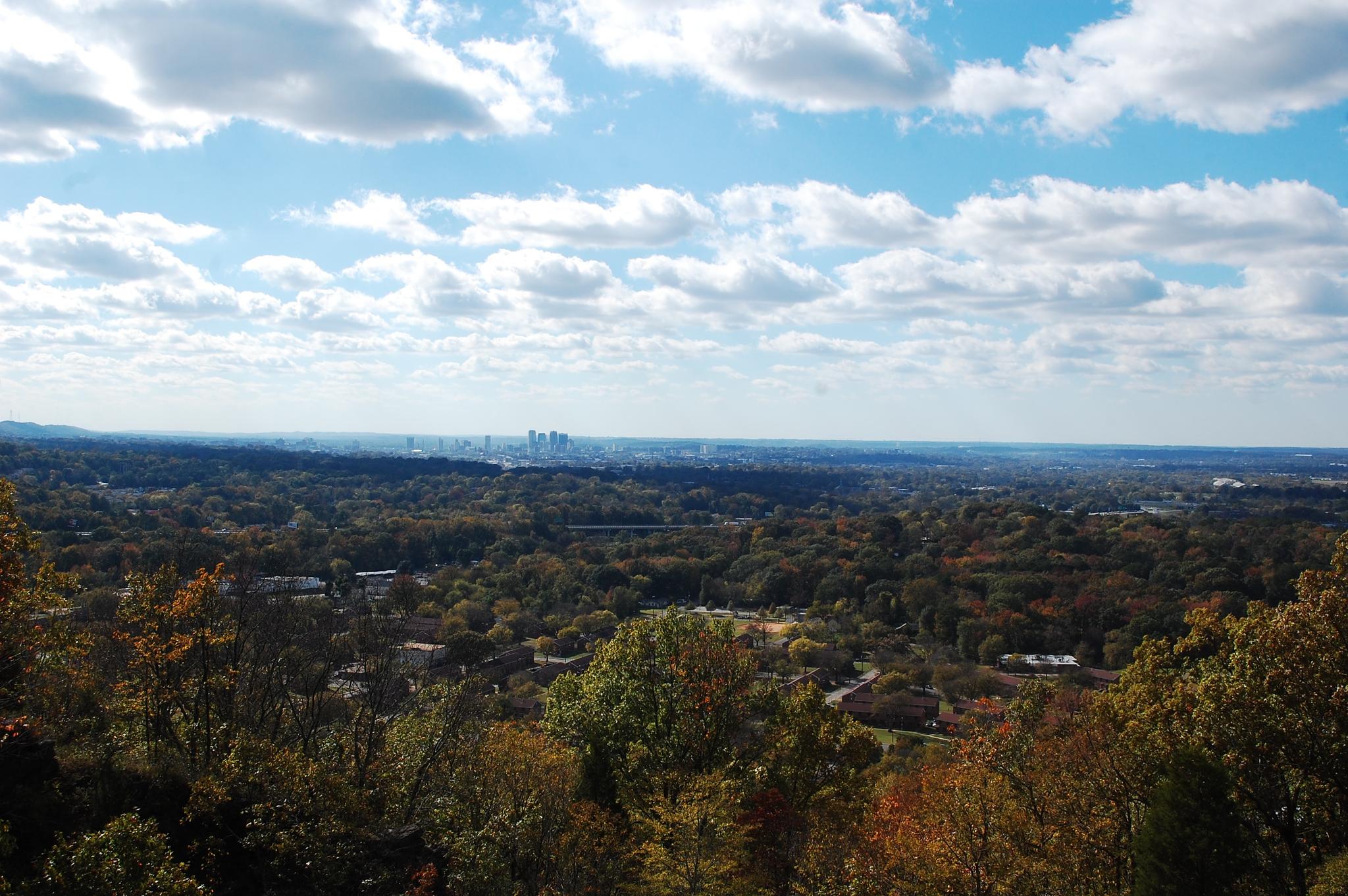 Panoramic view of a distant city skyline over a vast forest under a cloudy sky.