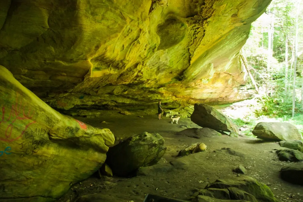 Two dogs explore a large, mossy rock overhang with green-tinged walls. - Rock House Loop Trail