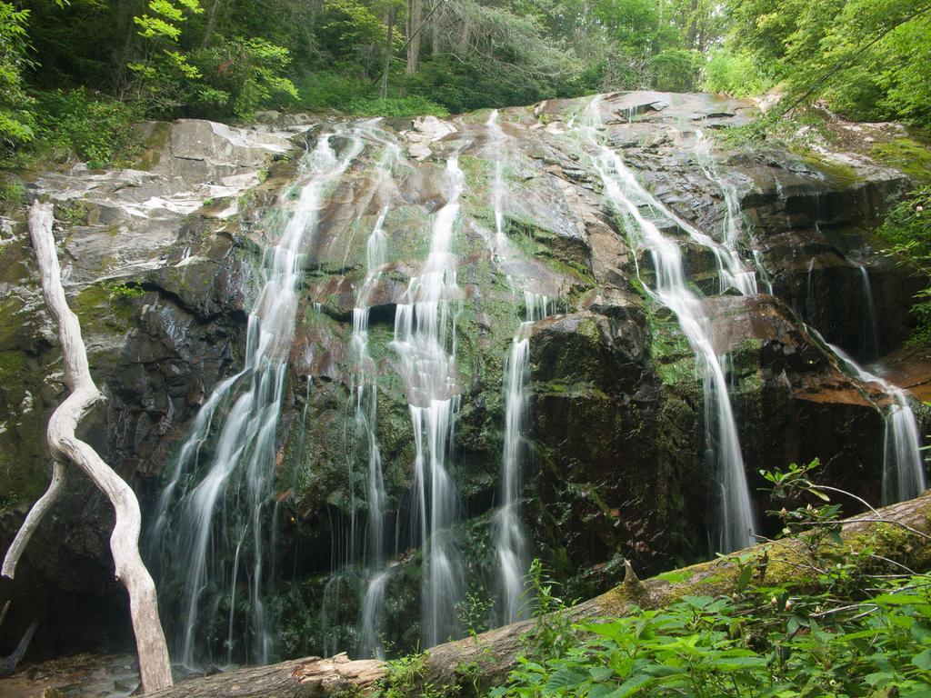 Wide waterfall cascades over a mossy rock face in a green forest.