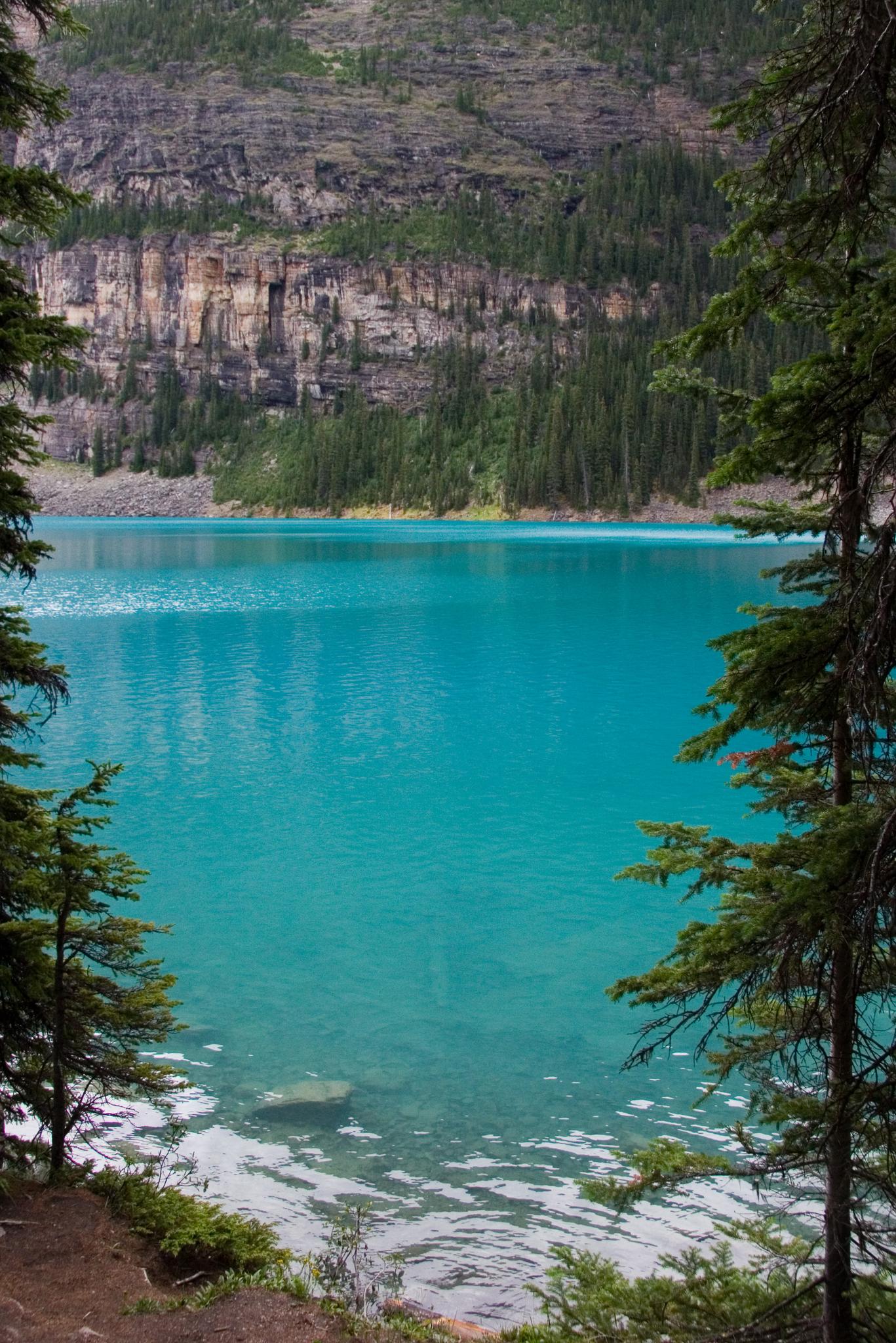 Vibrant turquoise lake framed by pine trees, with a rocky cliff backdrop.
