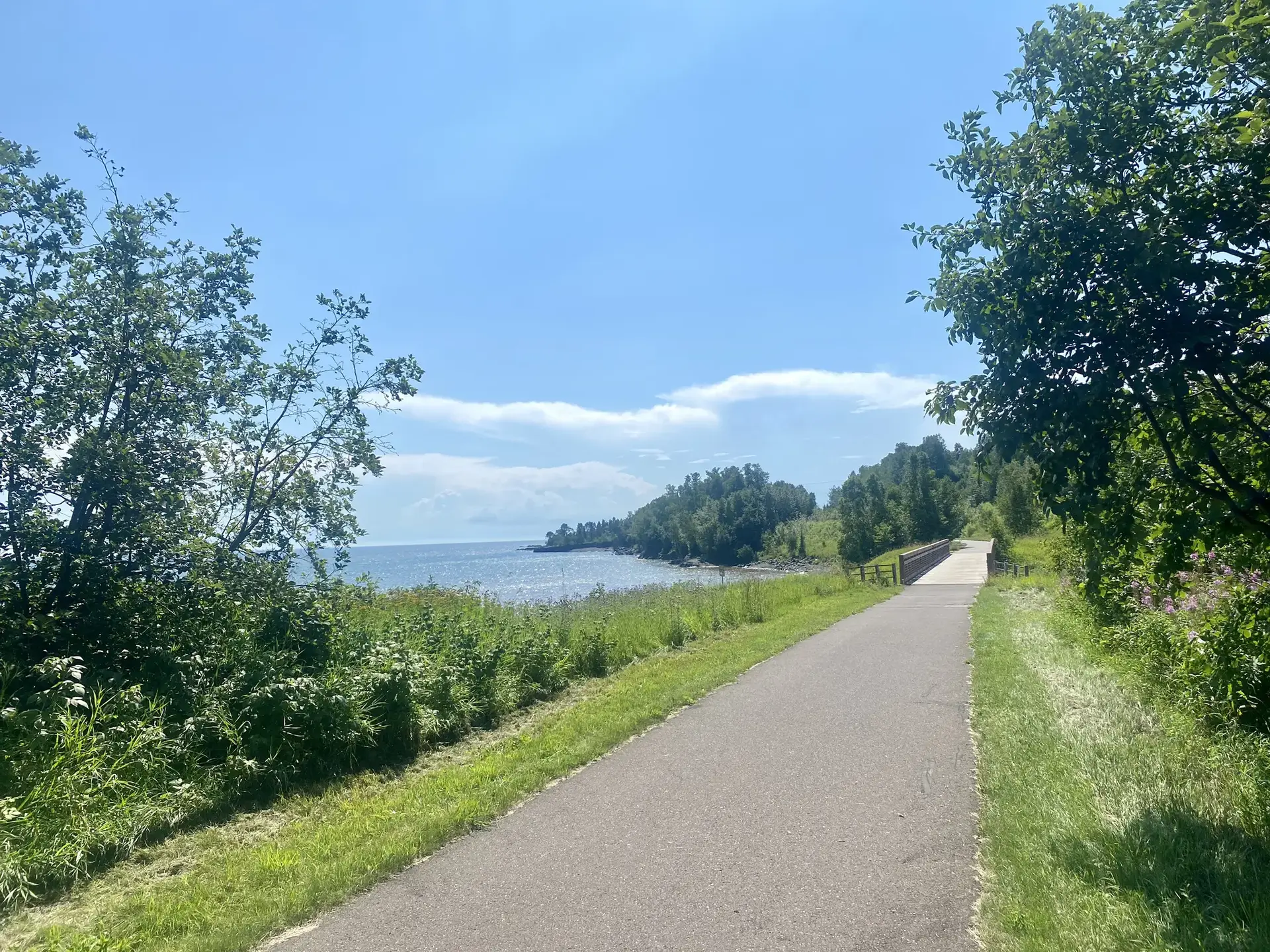 Sunny paved path alongside green grass and trees, with water in the distance.