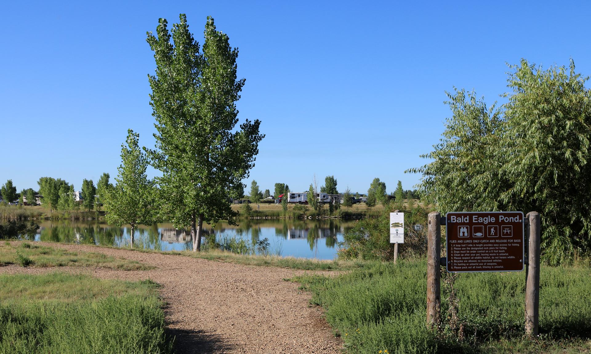 A sunny pond with green trees, a dirt path, and a brown informational sign.