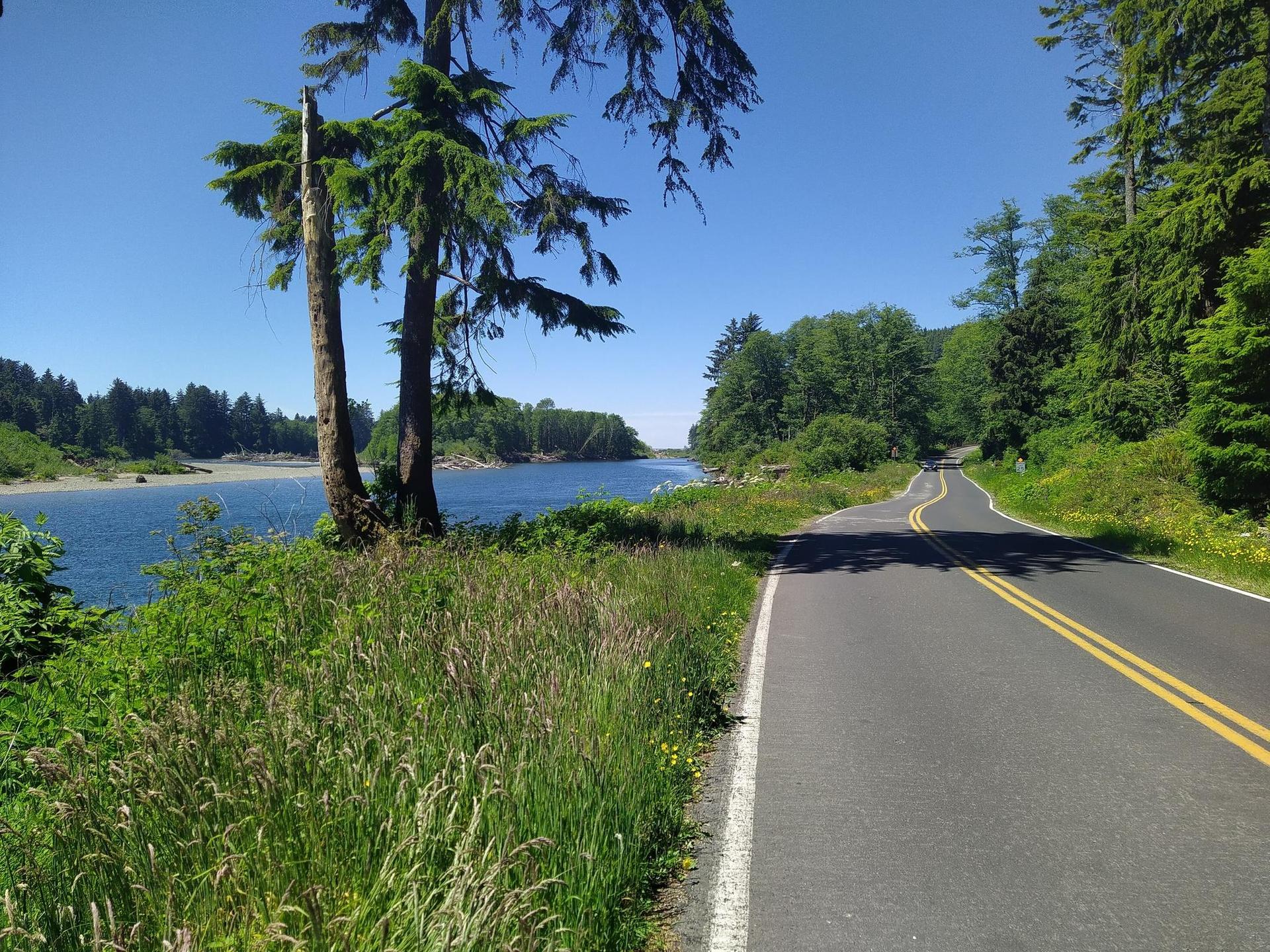 Paved road winding alongside a wide river with lush green trees.