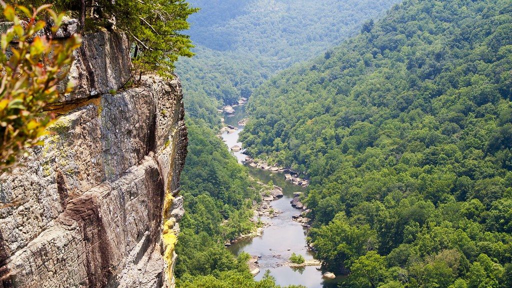 A deep river gorge with a winding river and dense green forests under bright daylight. - Grand Gap Loop