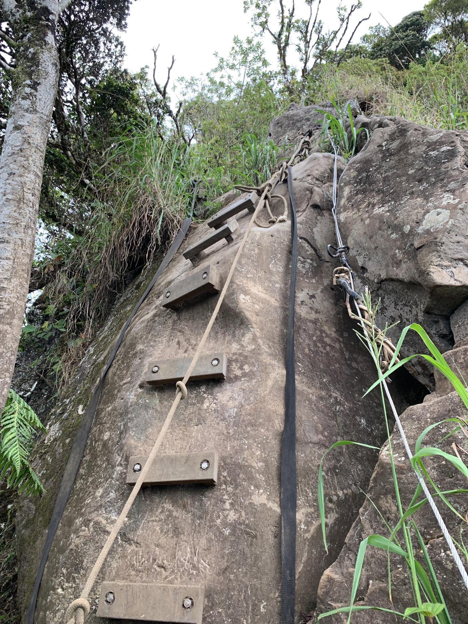 Wooden steps and ropes secured to a steep rock face for climbing.