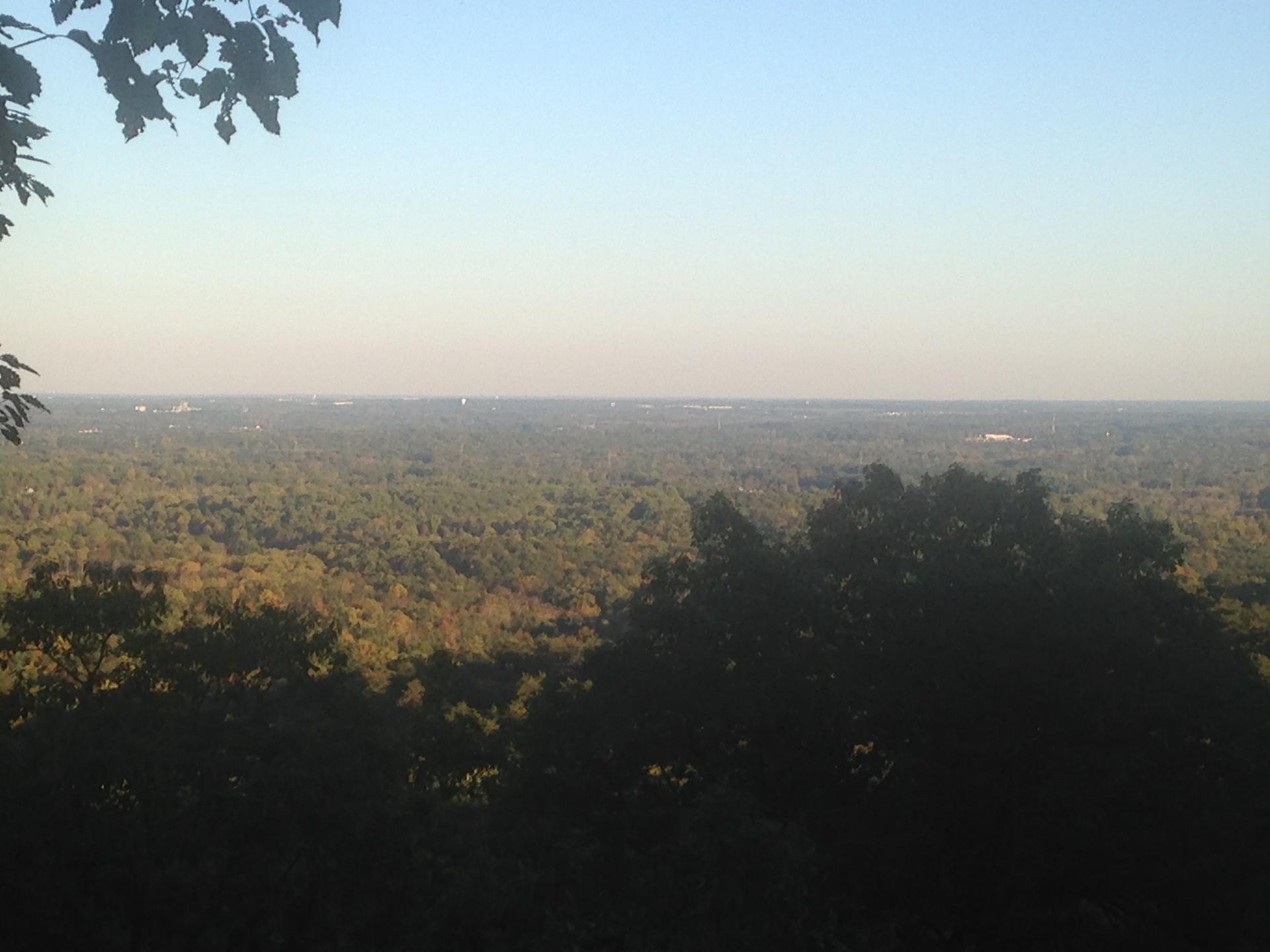 A wide view of a vast, green forest under a clear, hazy sky.
