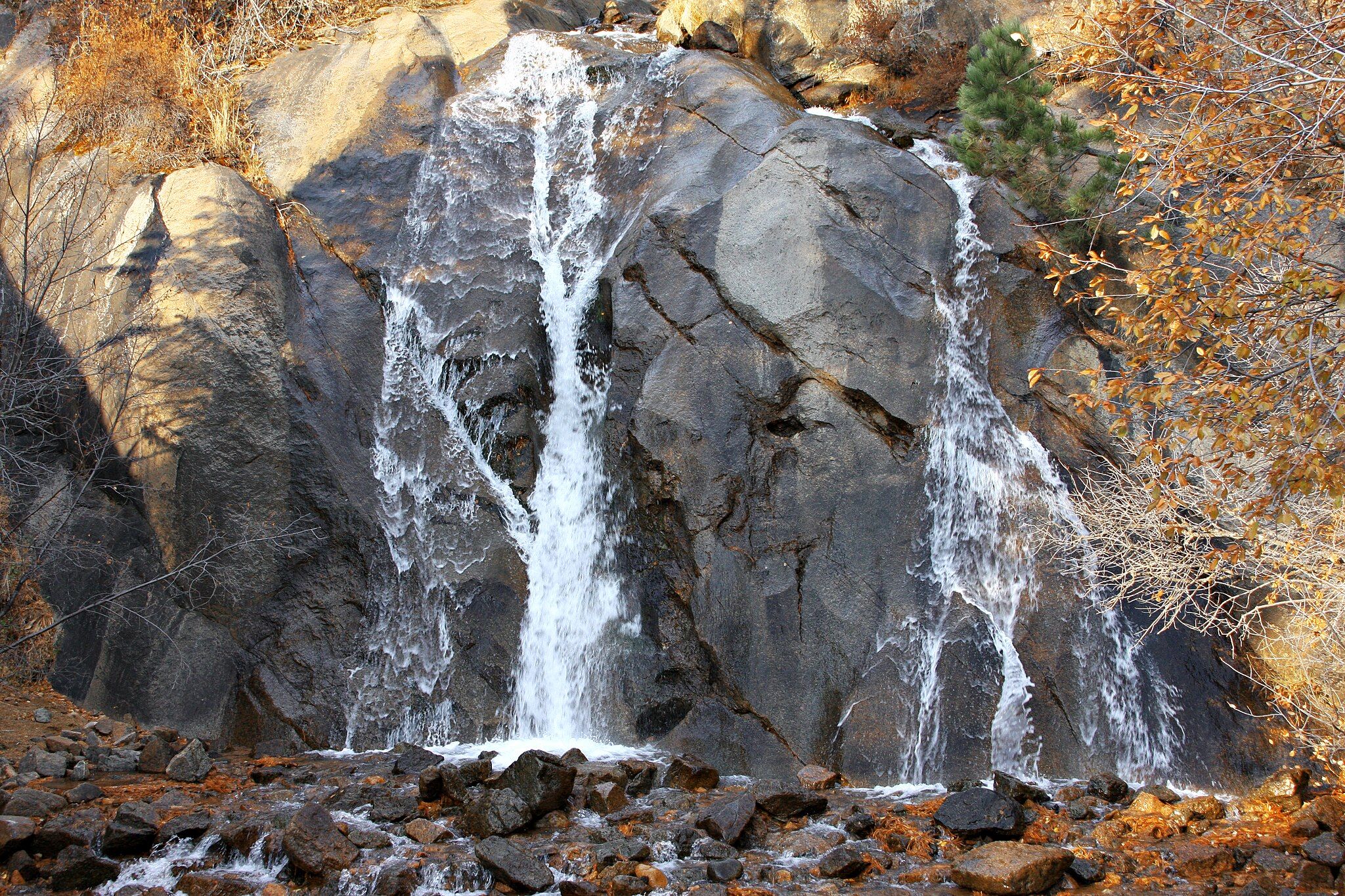 Waterfall flowing over dark rocks, surrounded by sparse trees with autumn colors. - Columbine Trail