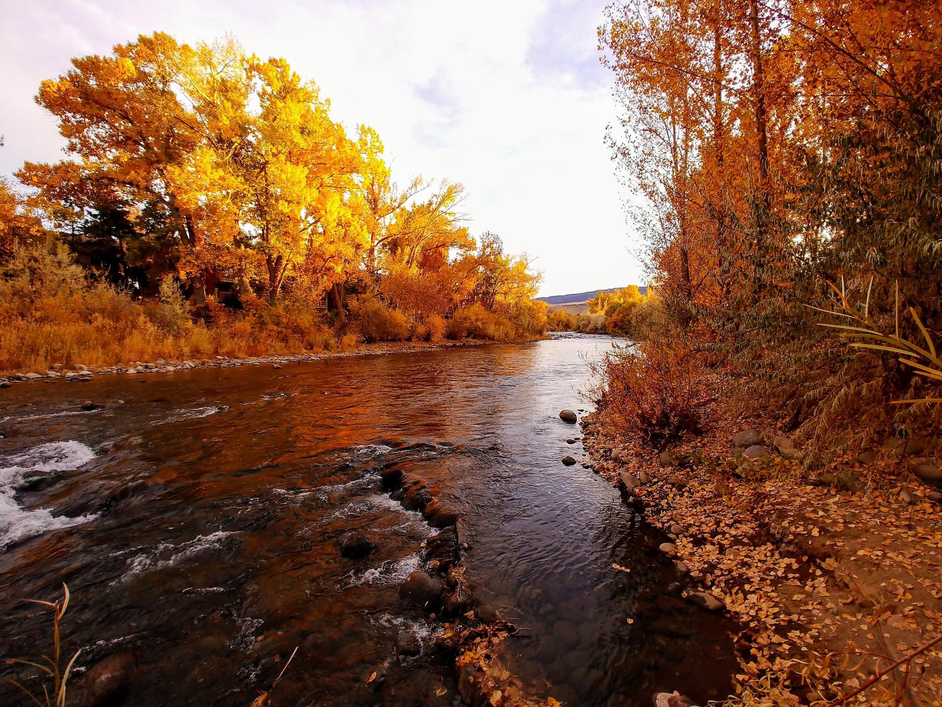 River flowing past vibrant orange and yellow autumn trees under bright sky.