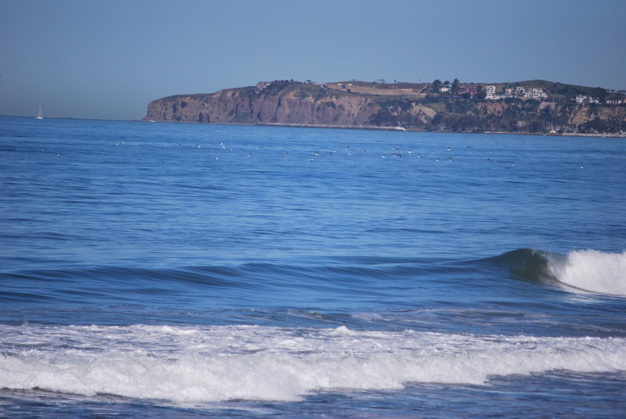 Blue ocean with gentle waves breaking, and a distant rocky cliff.
