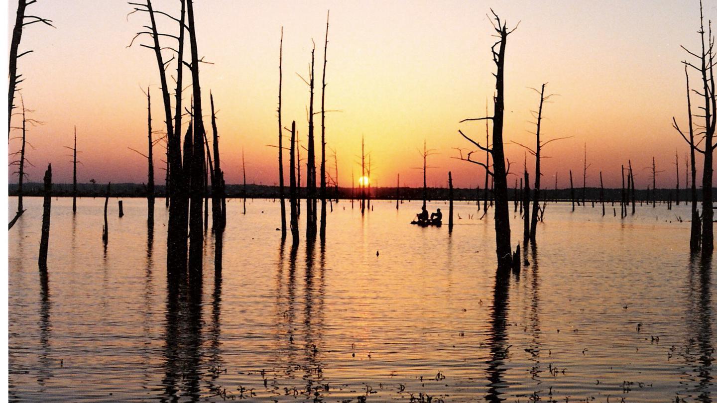 Two people in a boat among silhouetted dead trees at golden sunset.