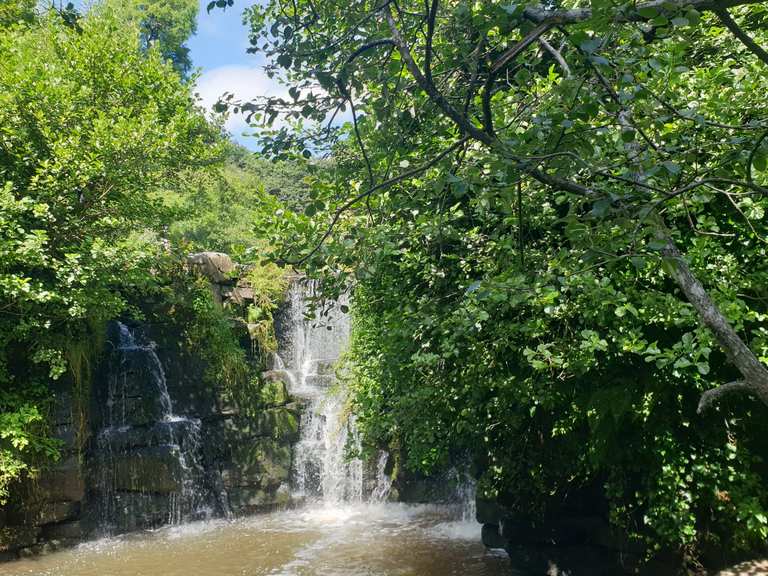 Penllergare Valley Woods to Lake Side loop hike Komoot
