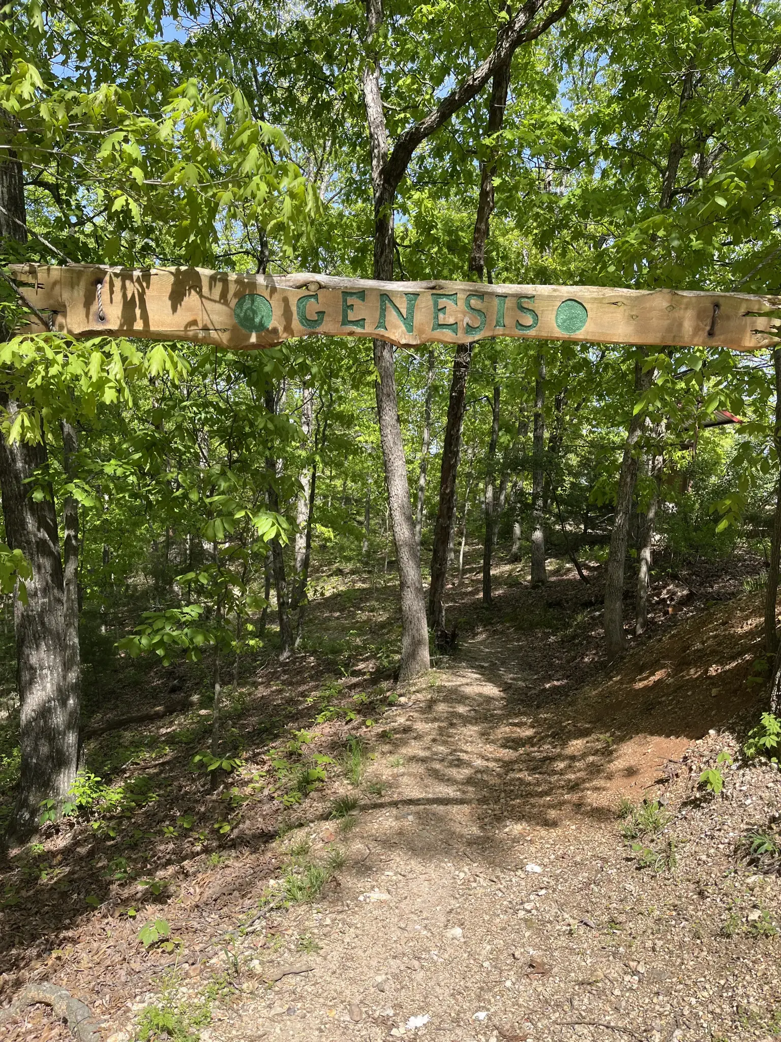 A carved wooden sign hangs over a sun-dappled forest path.
