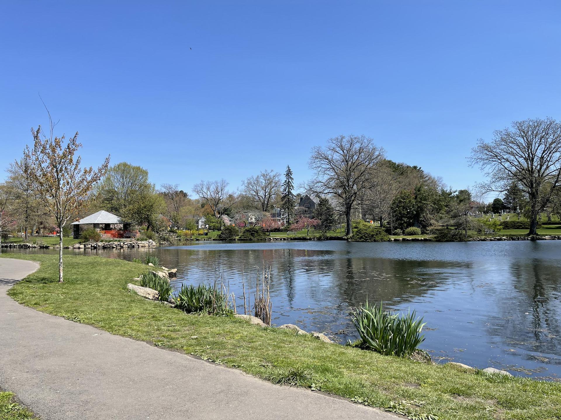 A paved path curves beside a calm lake with trees and houses.