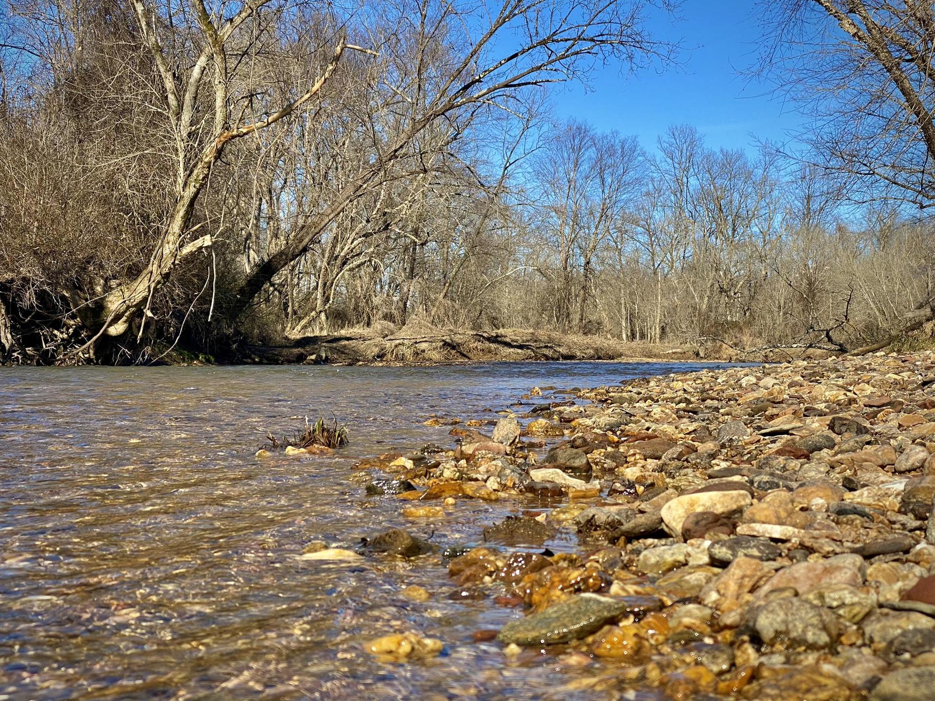 A rocky riverbank with clear water, surrounded by bare trees.