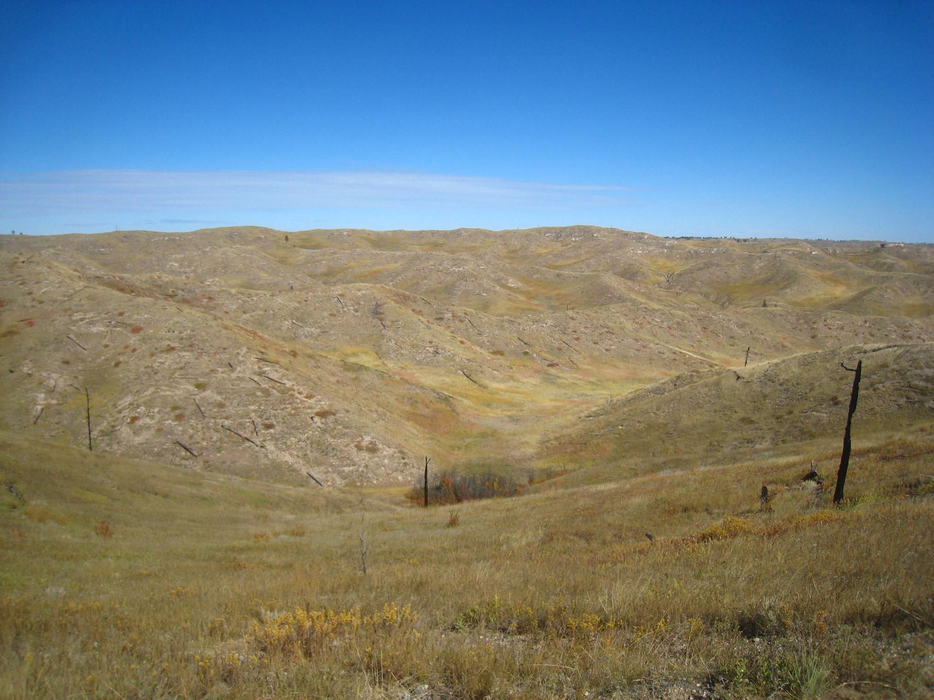 Vast, sunlit landscape of dry, rolling hills under a clear blue sky.