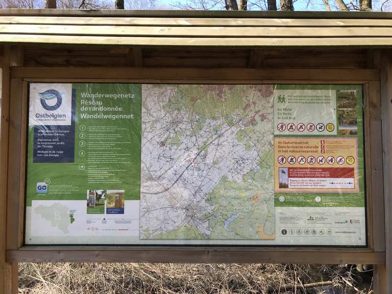 ber-stege-am-bachlauf-entlang-hohnbachtal-runde-von-kelmis-hike