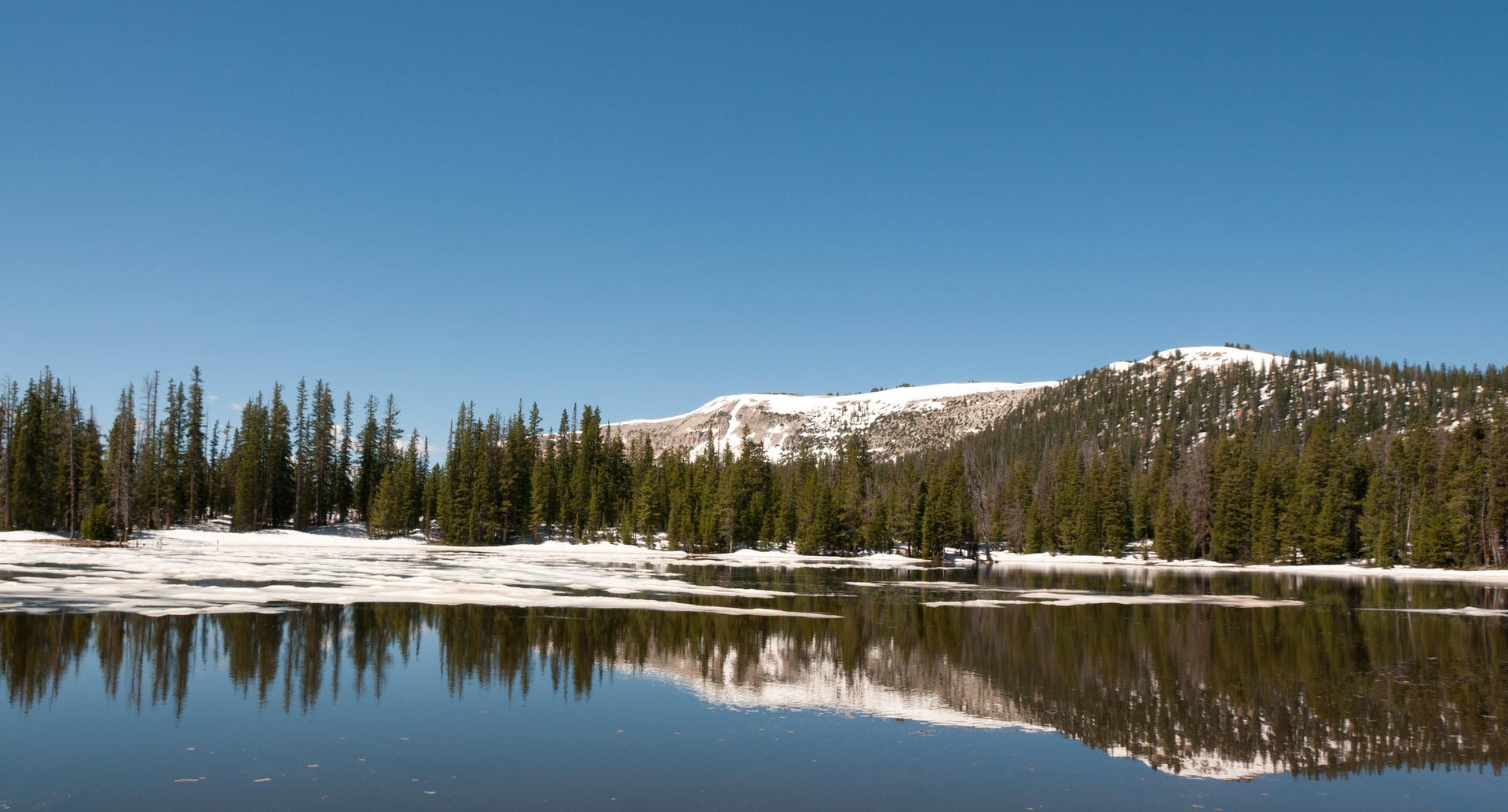 Partially frozen lake reflecting snow-covered mountains and pine forest under clear sky.