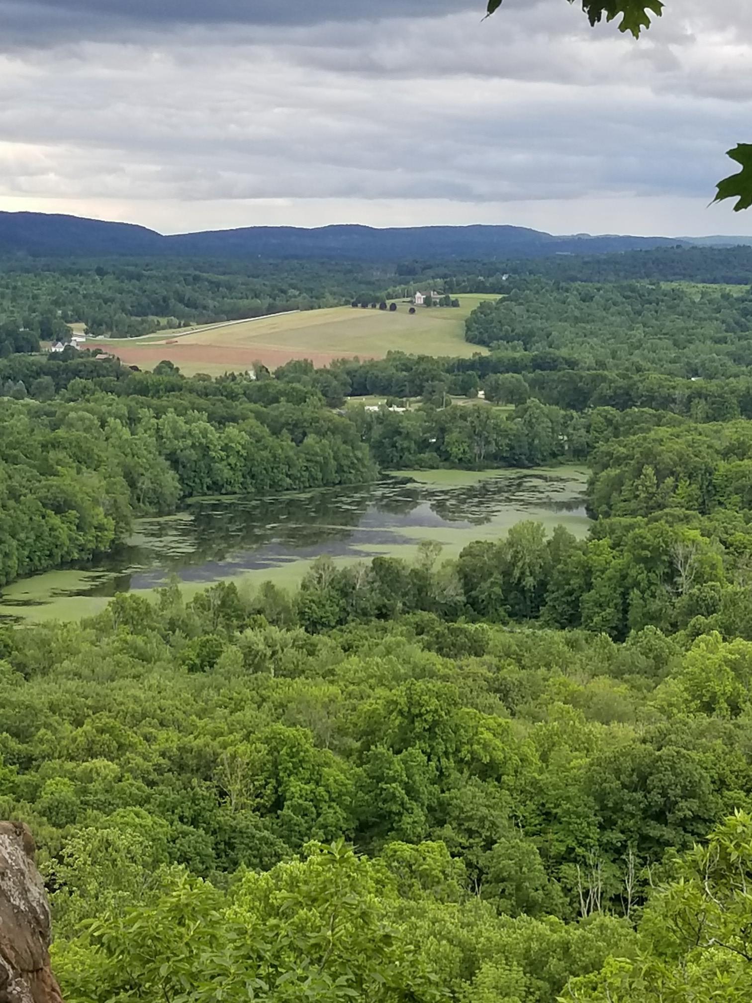 Overcast view of a green valley, dense forest, and a pond.