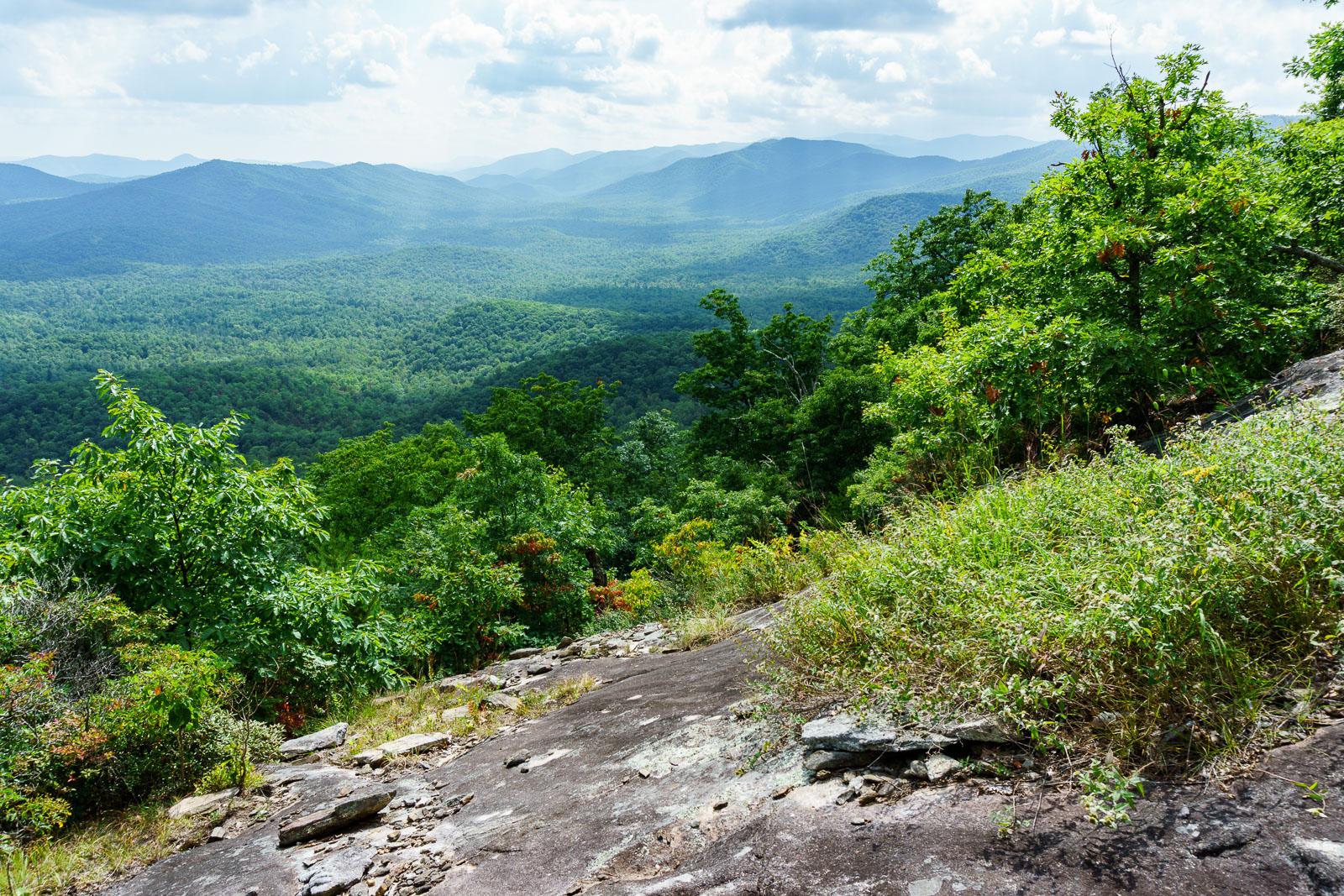 Expansive view of green mountains and forests from a rocky, vegetated slope.