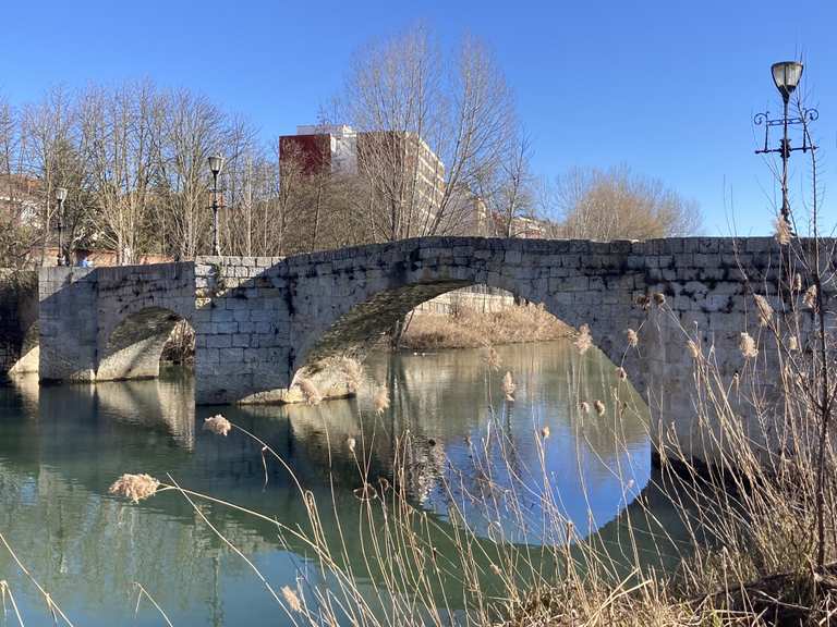 City tour por Palencia — circular por el centro histórico y por la
