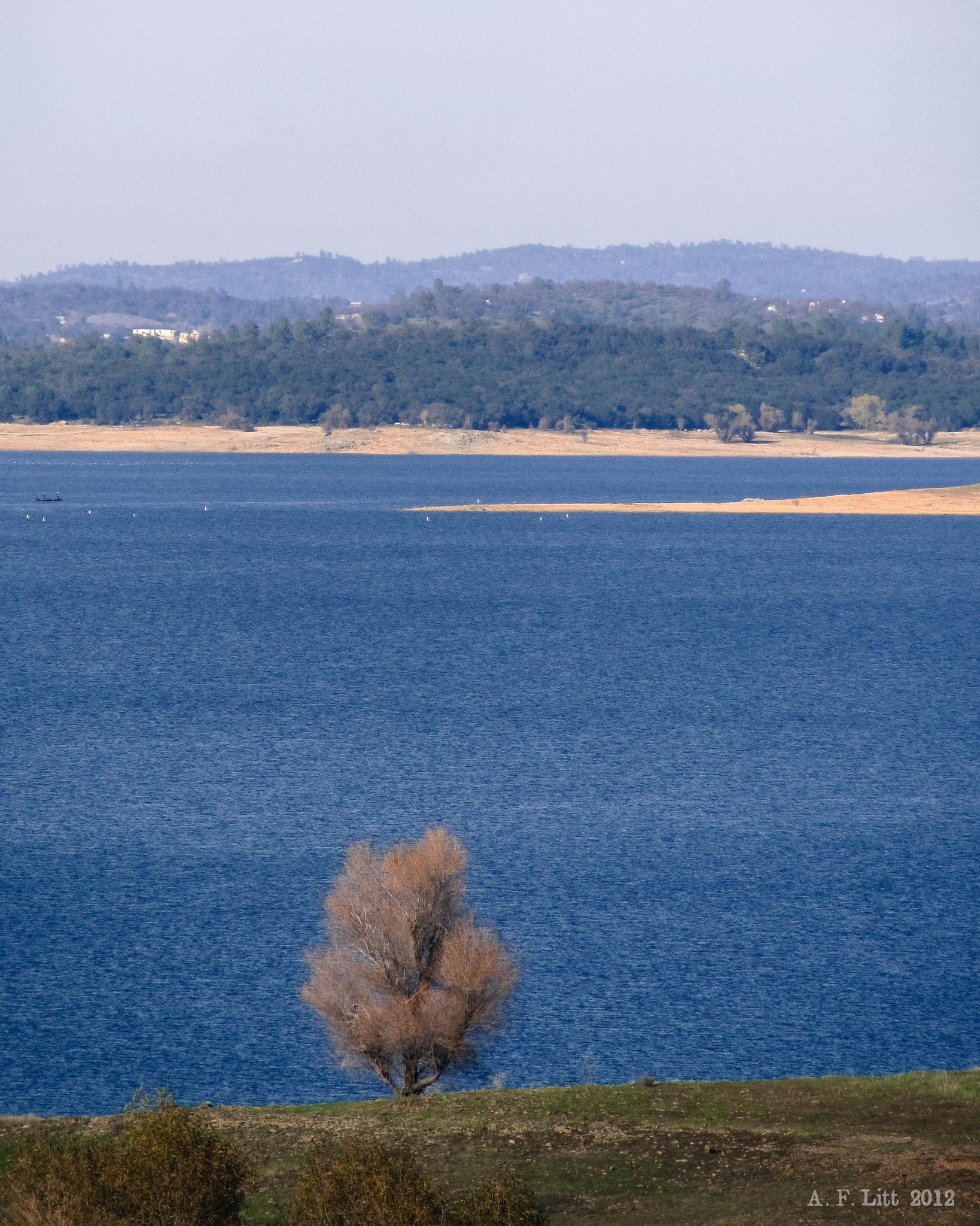 A lone bare tree stands before a vast blue lake and distant hills.