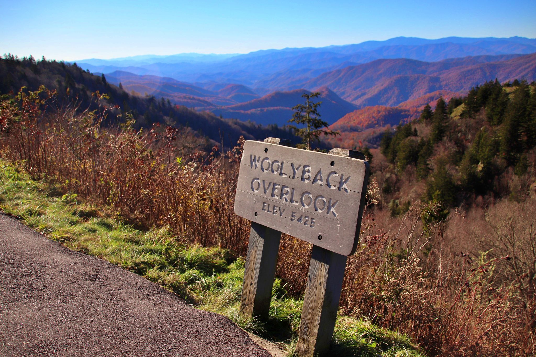 Wooden sign overlooks sunny autumn mountains with colorful foliage. - Waterrock Knob from Thunderstruck Overlook