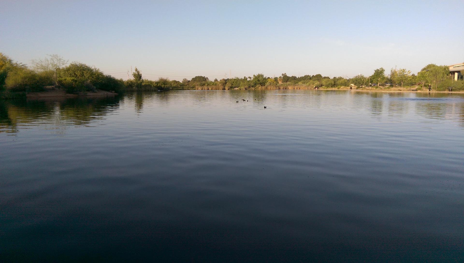 Wide calm lake with trees on the far bank under a clear sky.