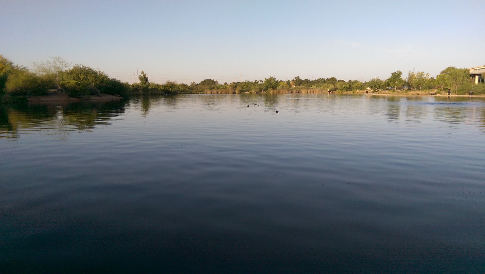 Wide calm lake with trees on the far bank under a clear sky. - Hiking loop from Habitat Island