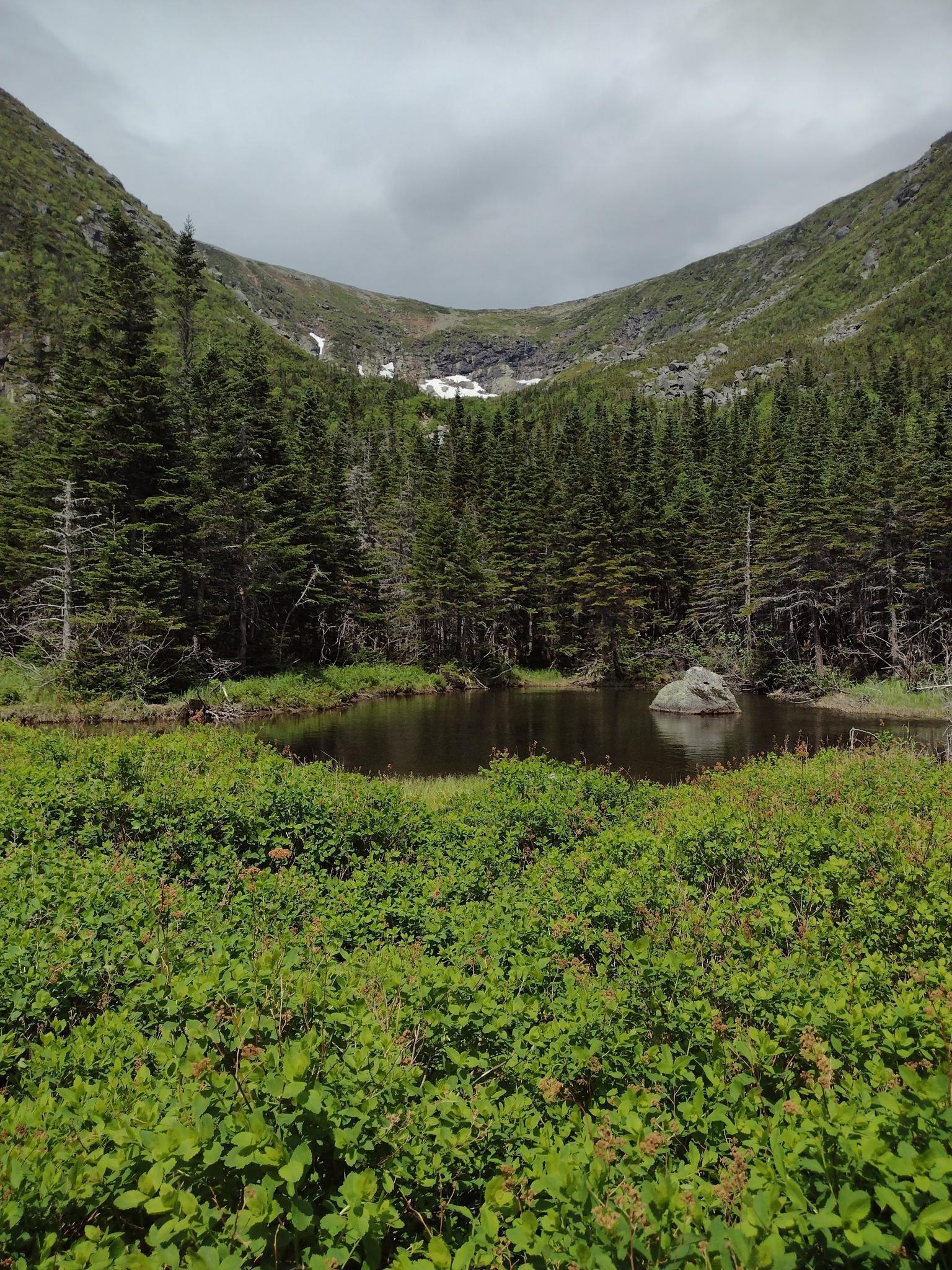 Small pond nestled in a valley with green bushes, pine trees, and snow patches.