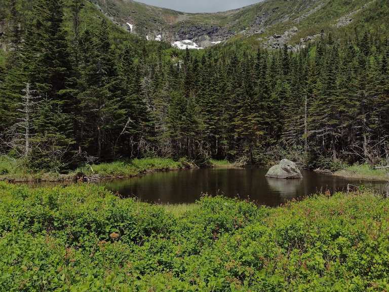 Mount Washington via Tuckerman Ravine Trail | hike | Komoot