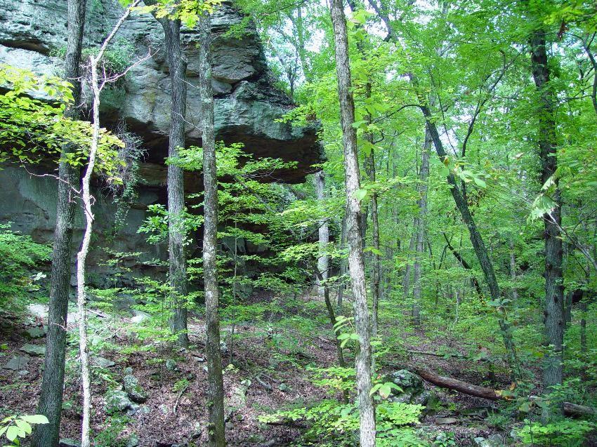 Dense green forest with a large, shaded rock overhang.