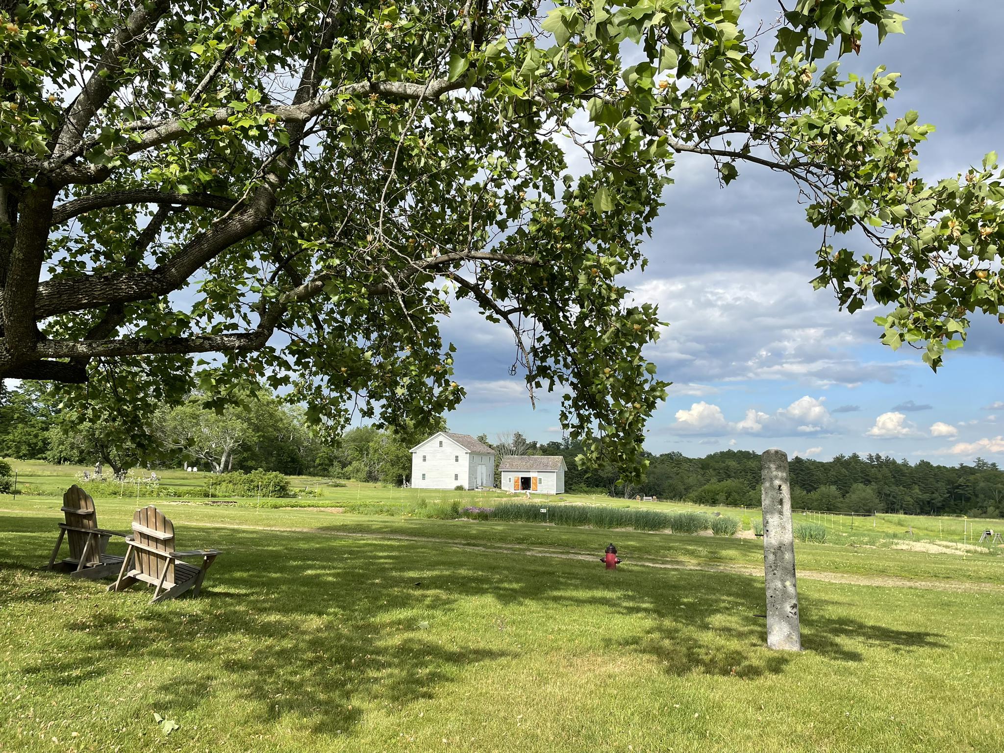 Green field with two Adirondack chairs, a distant white farmhouse, and a large tree.