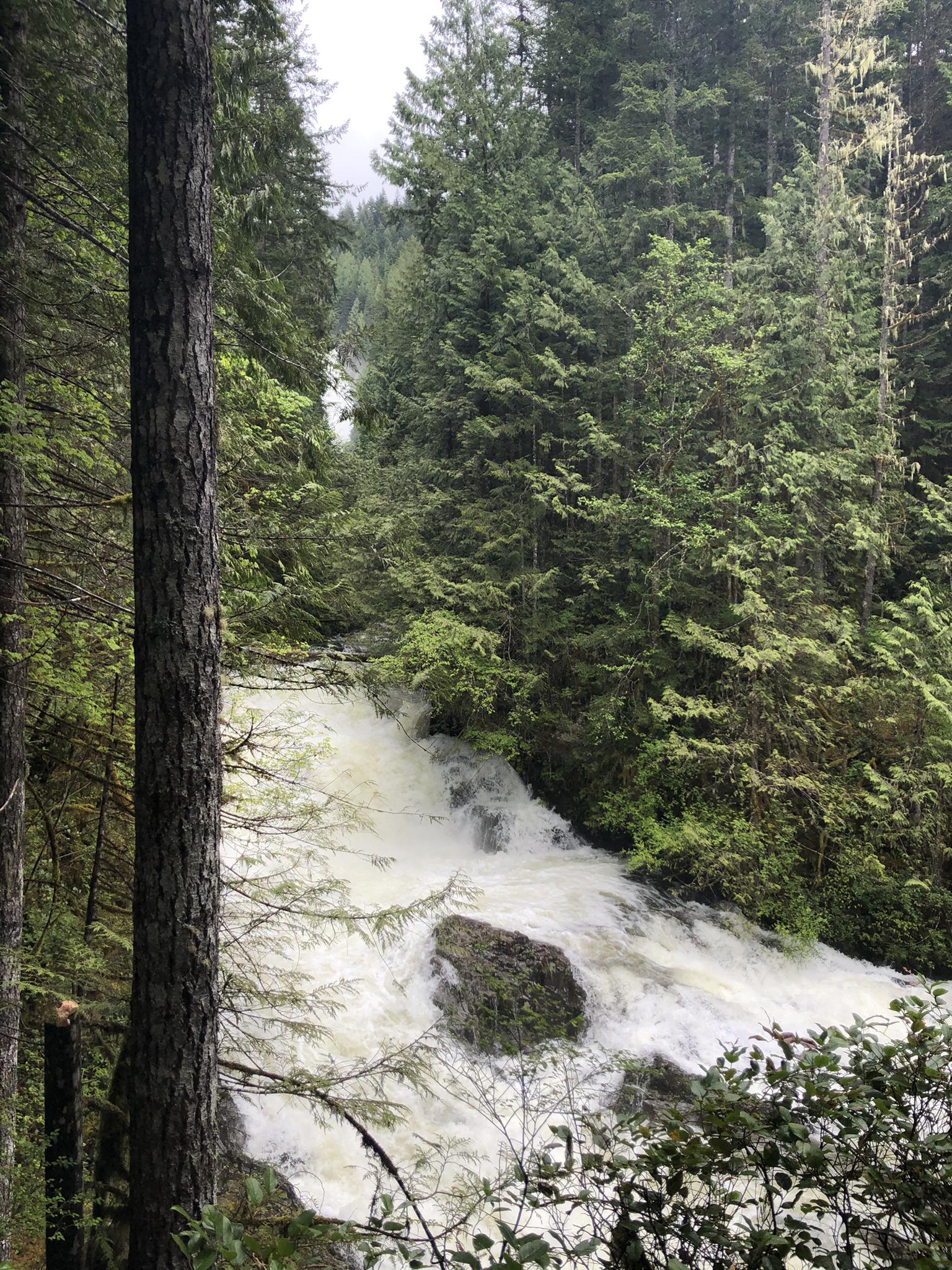 A powerful, white-water river rushes through a dense green forest.