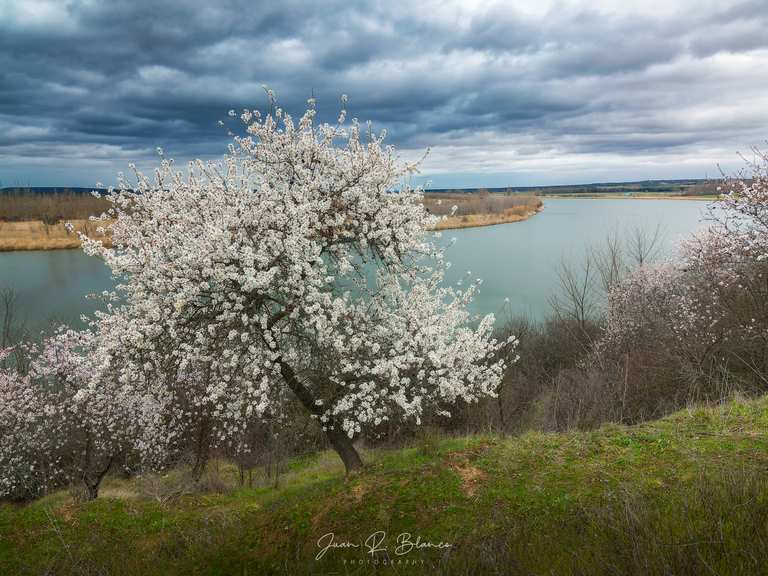 Castronuño from Tordesillas – circular by the Duero river – Reserva ...