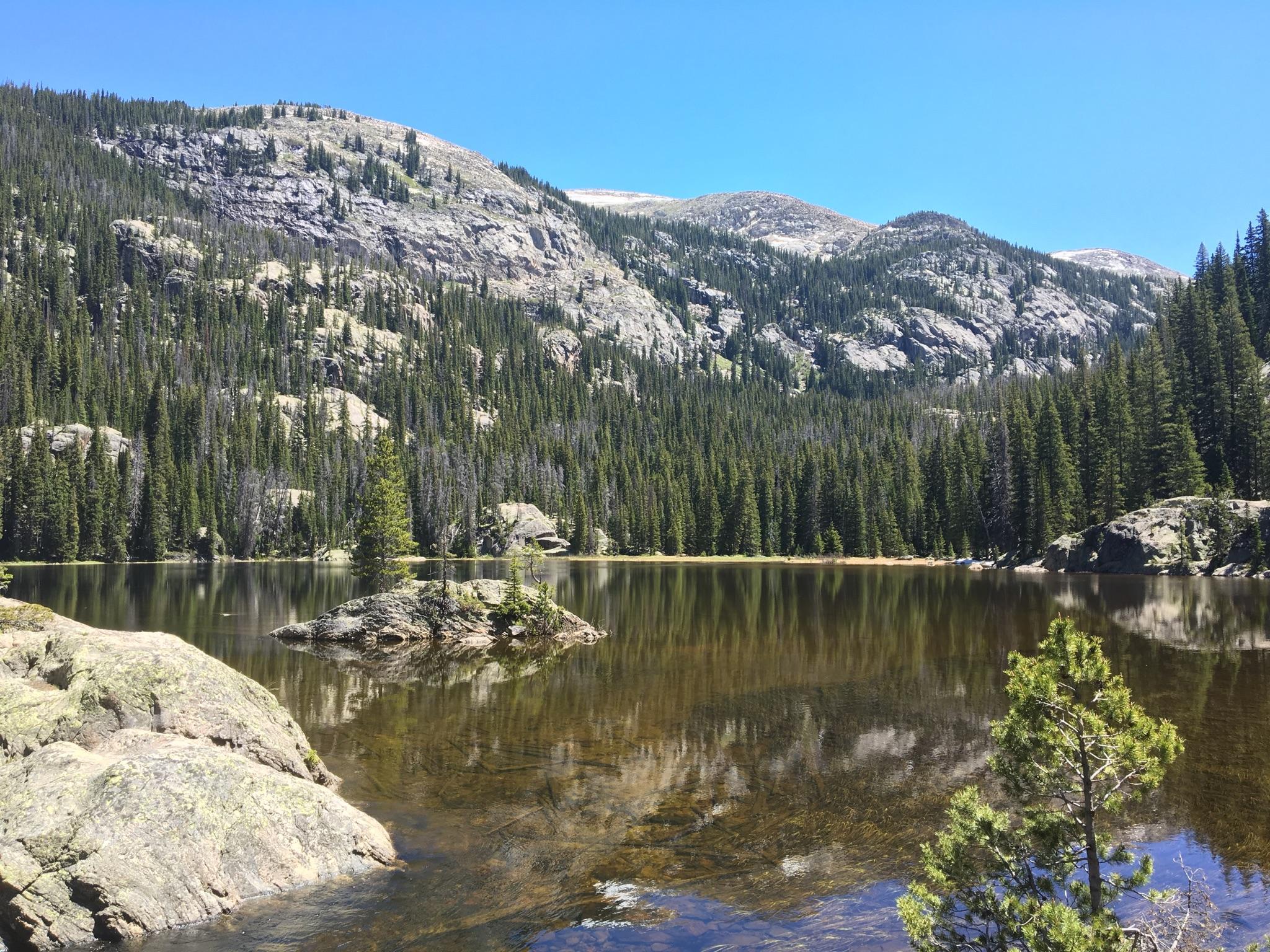 Calm lake reflecting pine trees and rocky mountains under a blue sky.