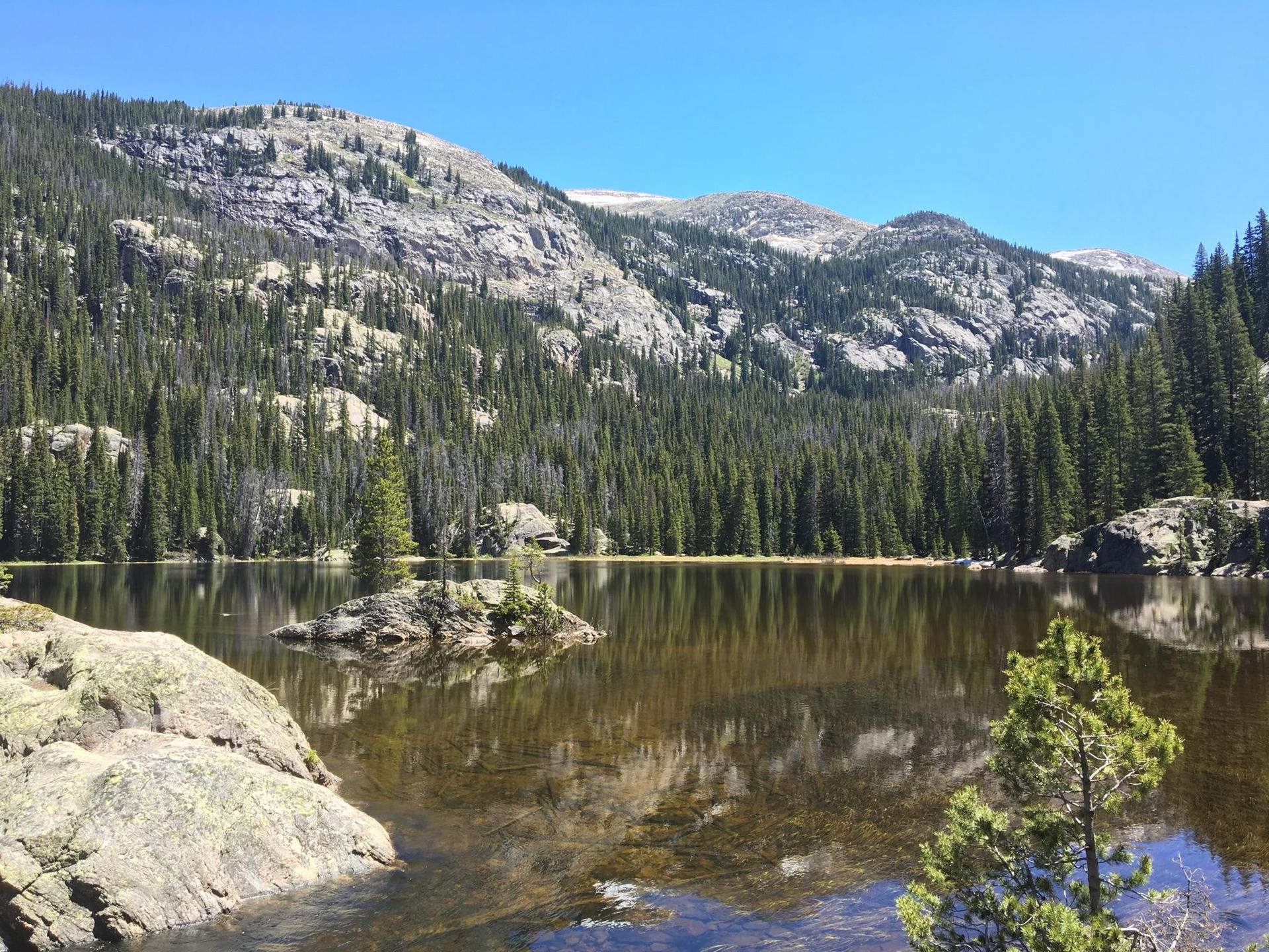 Calm lake reflecting pine trees and rocky mountains under a blue sky.