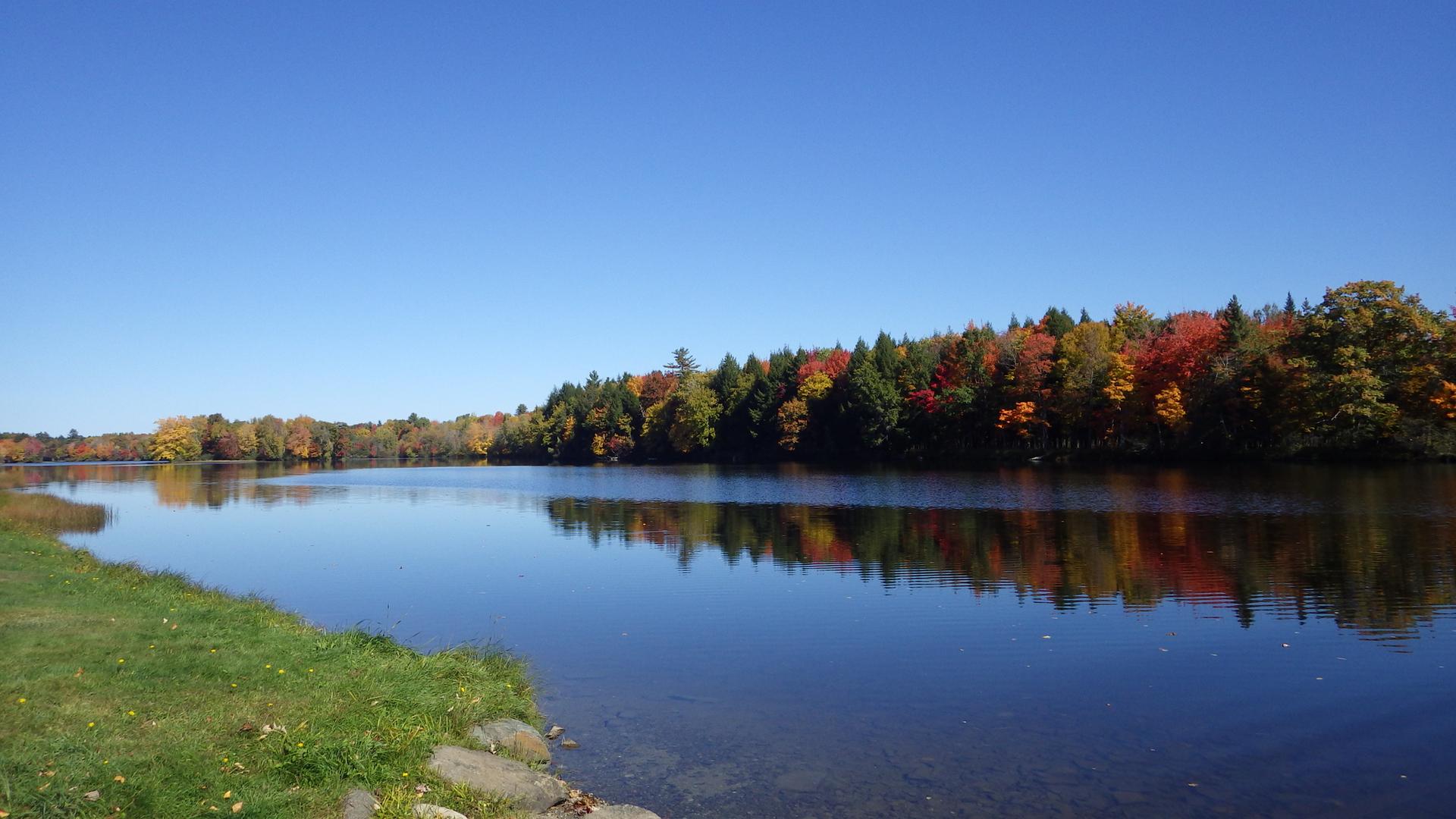 Calm lake reflects vibrant autumn trees under a clear blue sky.